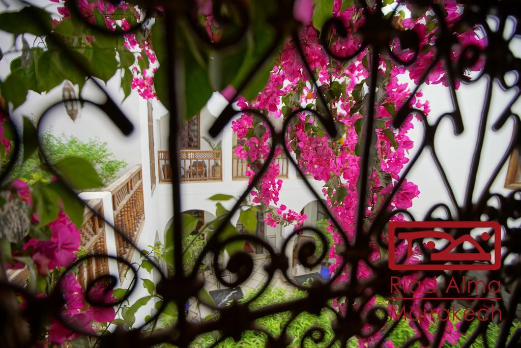 Riad Alma Marrakesh Exteriör bild
